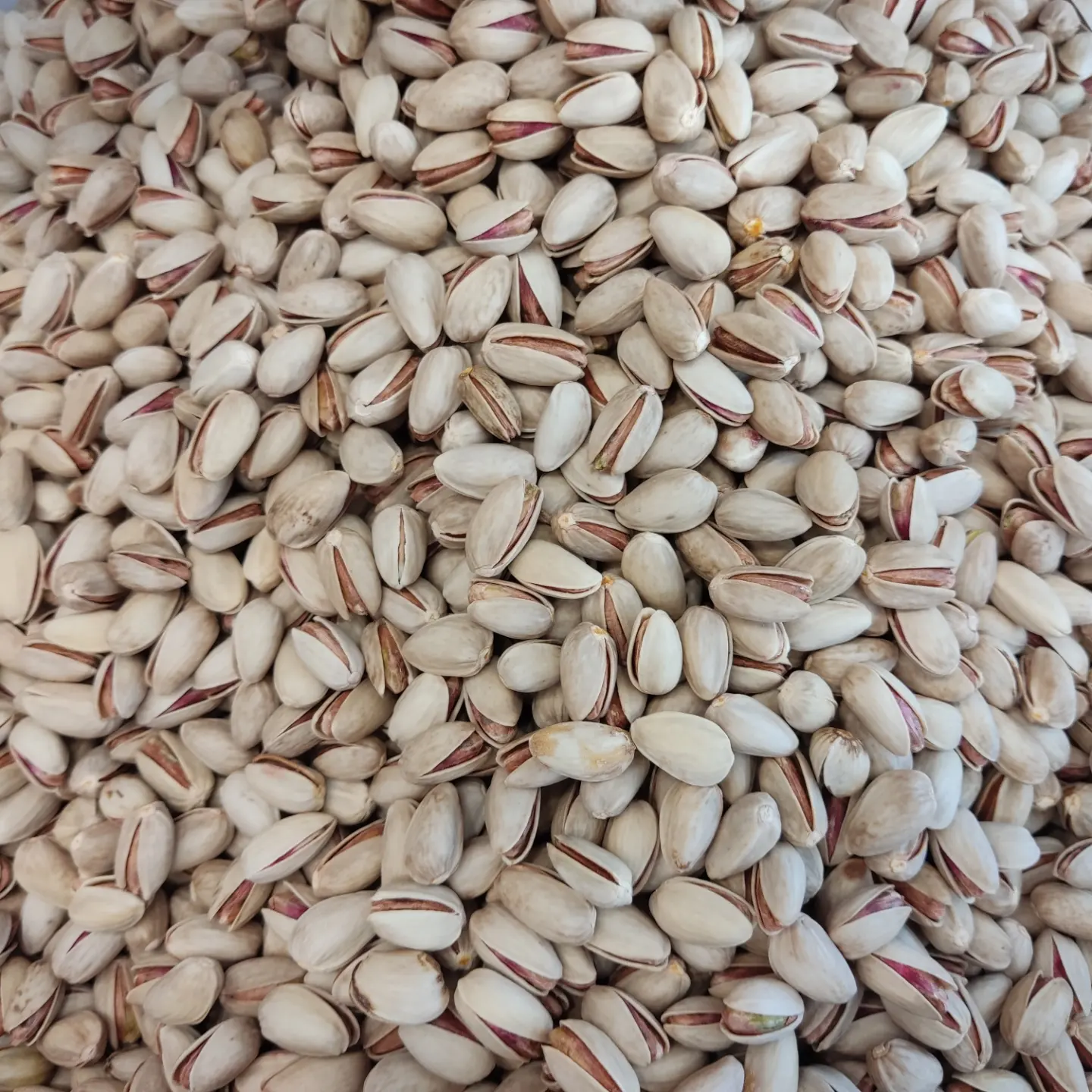 تصویر 3 از پسته درشت خندان با ظاهر یکدست و جذاب